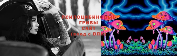 тгк Армянск