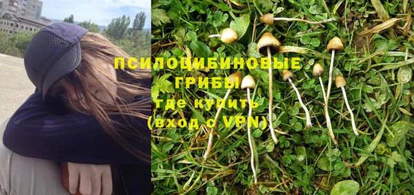 тгк Армянск