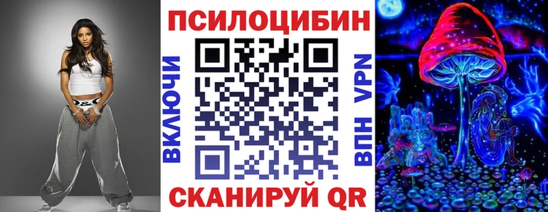 Псилоцибиновые грибы Psilocybe Старая Русса