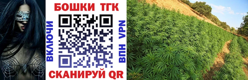 где найти наркотики  Старая Русса  Каннабис White Widow 